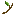 twig